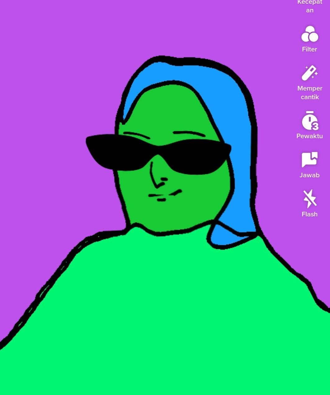 filter rotoscope tiktok